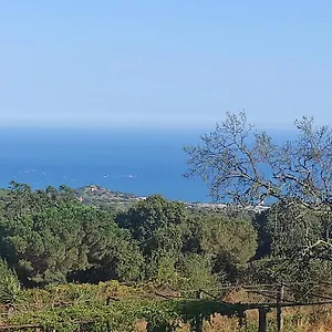 Bruguera Mataró