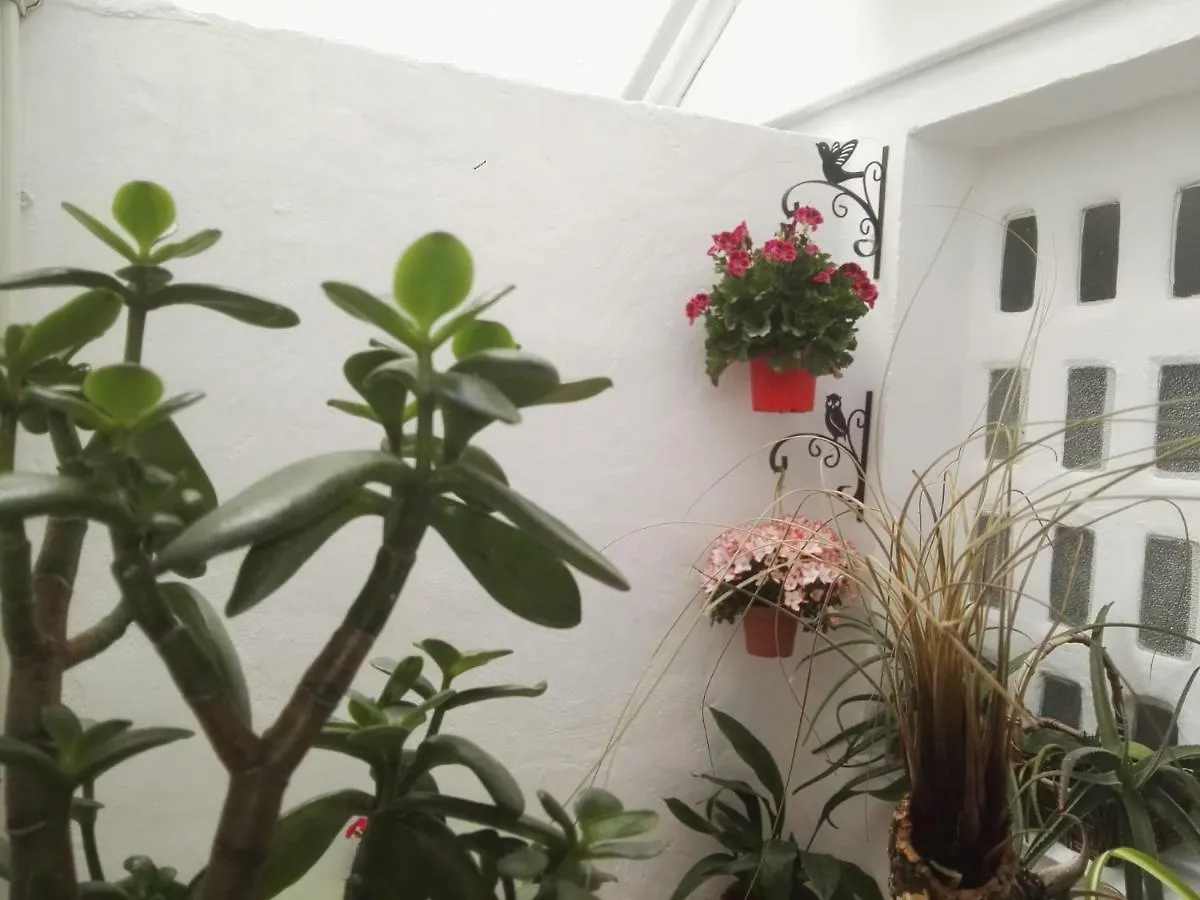 Apartamento La Flor De Mayo 코르도바 아파트