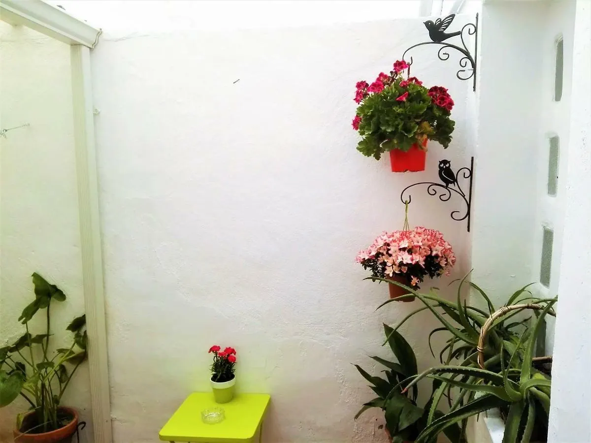 아파트 Apartamento La Flor De Mayo 코르도바